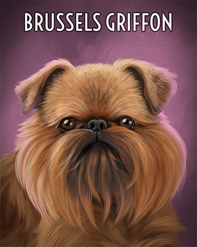 Brussels Griffon Badge - Payday Freecell HD