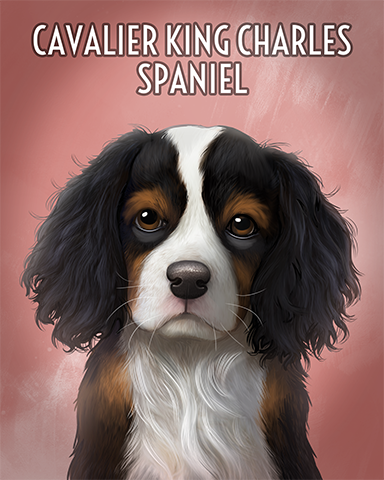 Cavalier King Charles Spaniel Badge - Jungle Gin HD