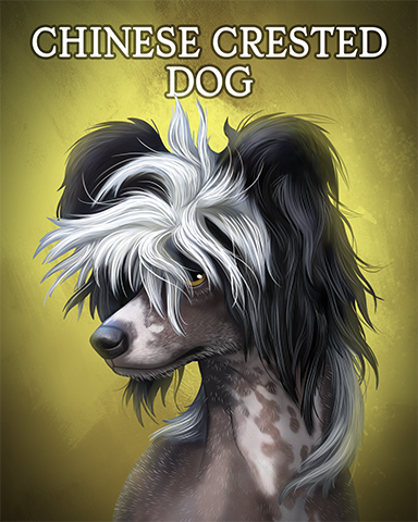 Chinese Crested Badge - Quinn's Aquarium