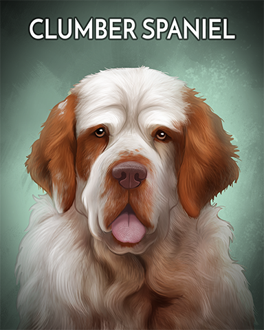 Clumber Spaniel Badge - Stack'em HD