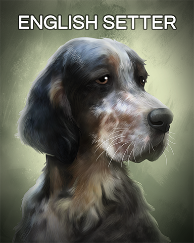 English Setter Badge - Postcards From Britain