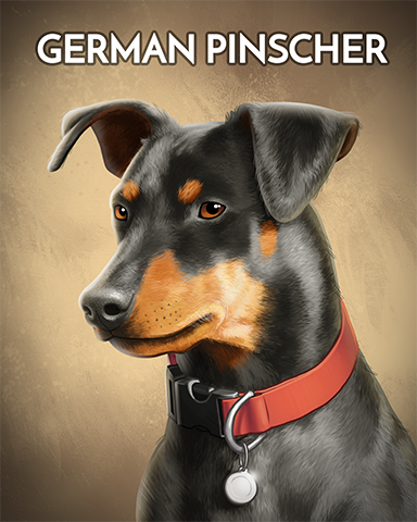 German Pinscher Badge - Rainy Day Spider Solitaire HD