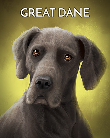 Great Dane Badge - Pogo™ Bowl