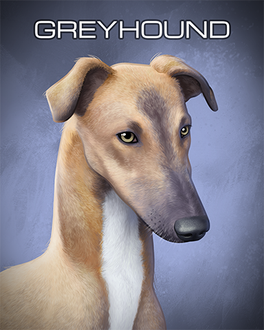 Greyhound Badge - Turbo 21 HD