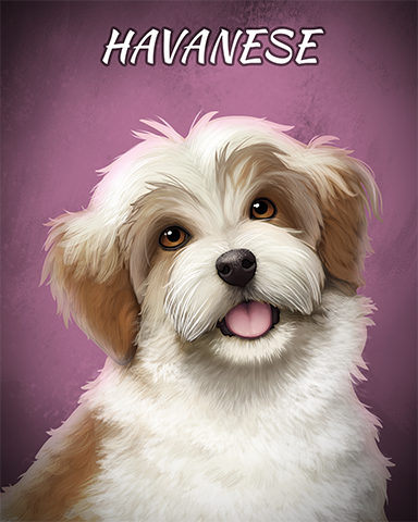 Havanese Badge - Big City Adventure