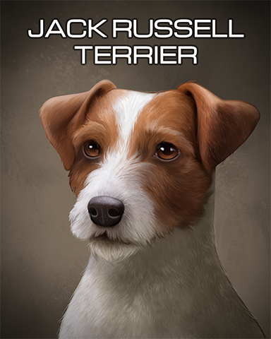 Jack Russell Terrier Badge - Pogo™ Sudoku