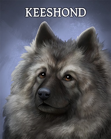 Keeshond Badge - Word Whomp HD