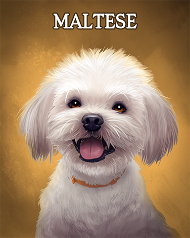 Maltese Badge - Pogo Daily Sudoku