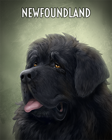 Newfoundland Badge - Word Search Daily HD