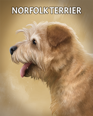 Norfolk Terrier Badge - Mahjong Garden HD