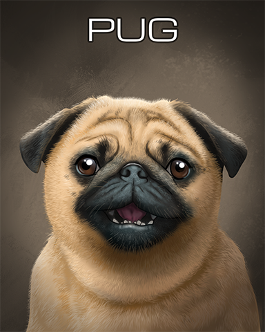 Pug Badge - Cross Country Adventure