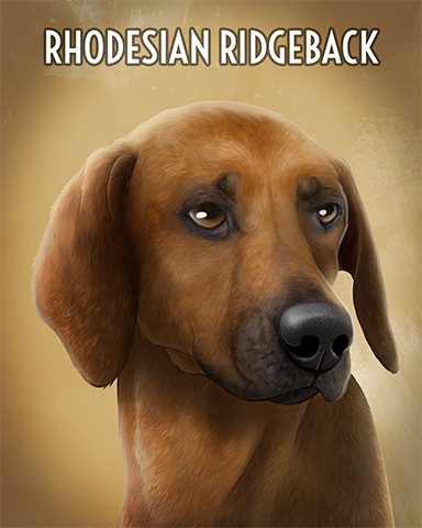 Rhodesian Ridgeback Badge - Poppit! HD