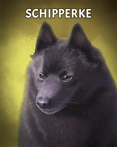 Schipperke Badge - Mahjong Escape