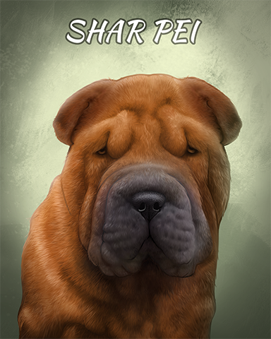 Shar Pei Badge - World Class Solitaire HD