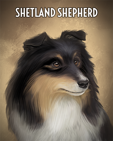 Shetland Sheepdog Badge - Poppit! Party