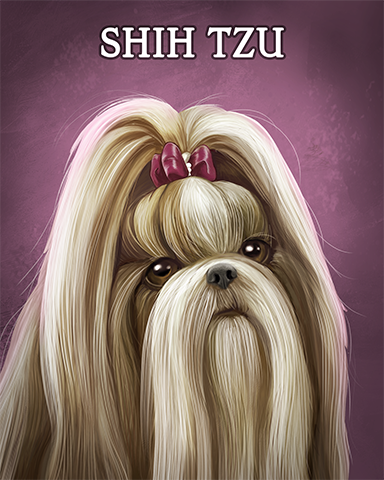 Shih Tzu Badge - Claire Hart Classic