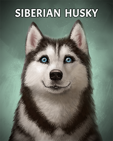 Siberian Husky Badge - Everyone Wins Bingo