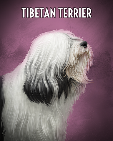 Tibetan Terrier Badge - Jet Set Solitaire