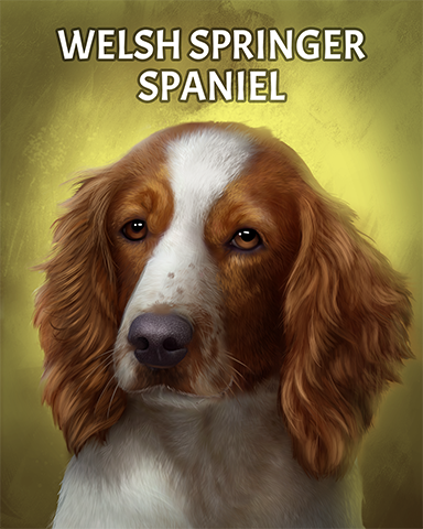 Welsh Springer Spaniel Badge - Phlinx II