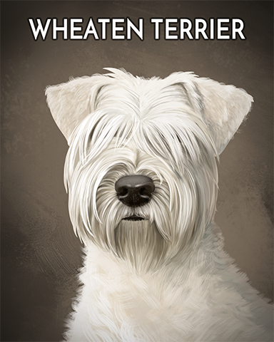 Wheaten Terrier Badge - Cookie Connect