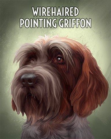 Wirehaired Pointing Griffon Badge - Postcards From Britain