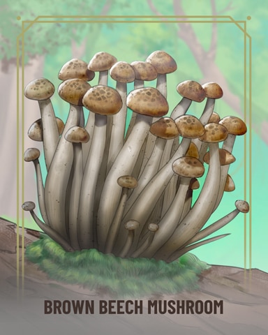 Brown Beech Fungi Badge - Spades HD