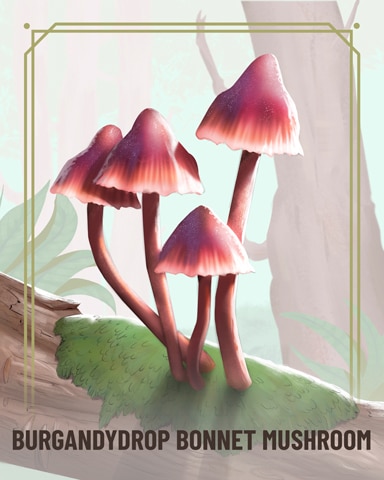 Burgandydrop Bonnet Fungi Badge - Word Whomp HD