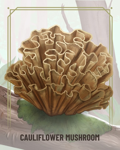 Cauliflower Fungi Badge - World Class Solitaire HD