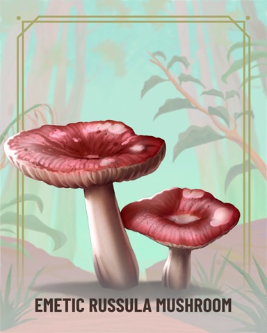 Emetic Russula Fungi Badge - Aces Up! HD