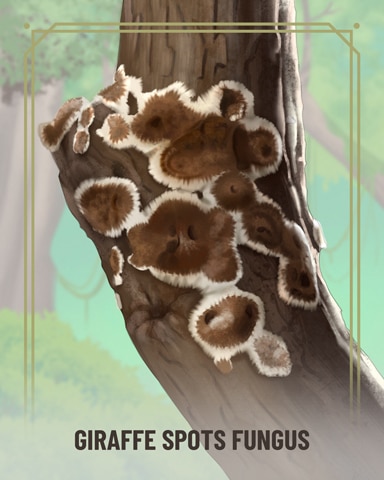 Giraffe Spots Fungi Badge - Mahjong Safari HD