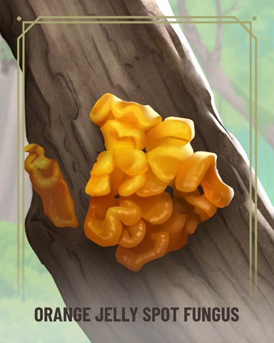 Orange Jelly Spot Fungi Badge - Mahjong Garden HD