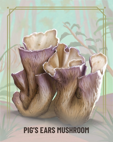 Pig's Ear Fungi Badge - Tri-Peaks Solitaire HD