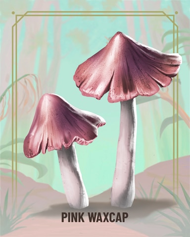 Pink Waxcap Fungi Badge - Quinn's Aquarium
