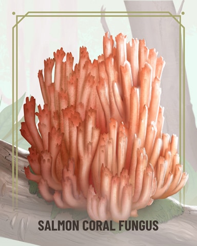 Salmon Coral Fungi Badge - Canasta HD