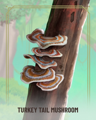 Turkey Tail Fungi Badge - Tri-Peaks Solitaire HD