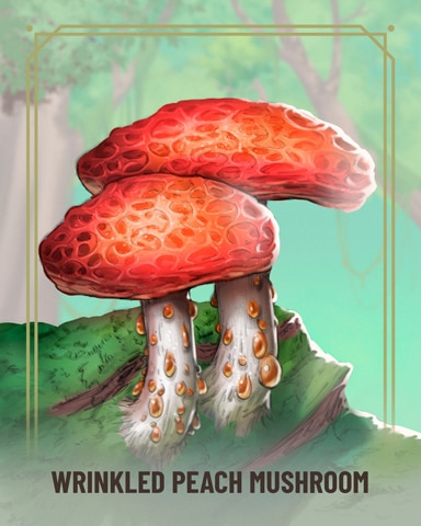 Wrinkled Peach Fungi Badge - First Class Solitaire HD