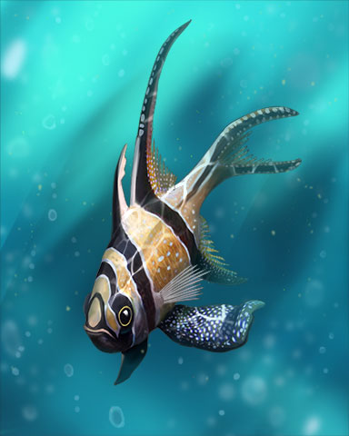 Banggai Cardinalfish Badge - Pogo Daily Sudoku