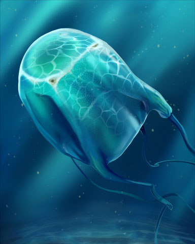 Box Jellyfish Badge - Tumble Bees HD