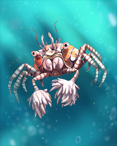 Boxer Crab Badge - Claire Hart: Secret In The Shadows