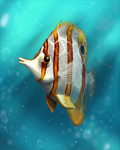 Copperband Butterflyfish Badge - Quinn's Aquarium