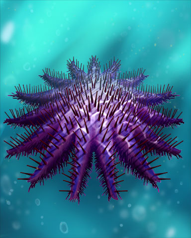 Crown-of-Thorns Starfish Badge - Phlinx II