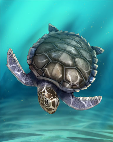 Flatback Turtle Badge - Jigsaw Treasure Hunter HD