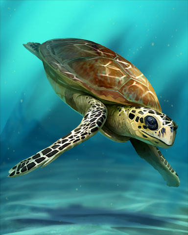 Hawksbill Turtle Badge - Pogo Daily Sudoku