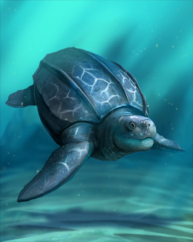 Leatherback Turtle Badge - World Class Solitaire HD