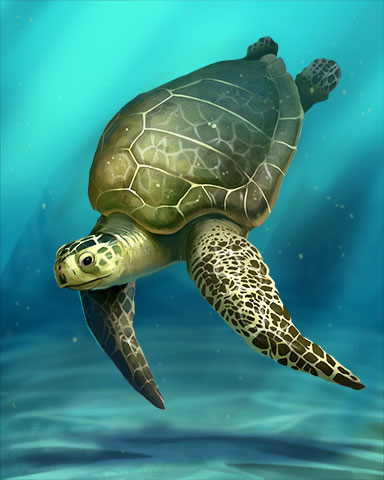 Pacific Ridley Sea Turtle Badge - Mahjong Garden HD