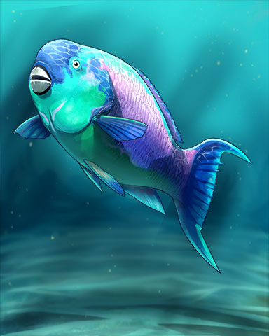 Parrotfish Badge - Poppit! Bingo