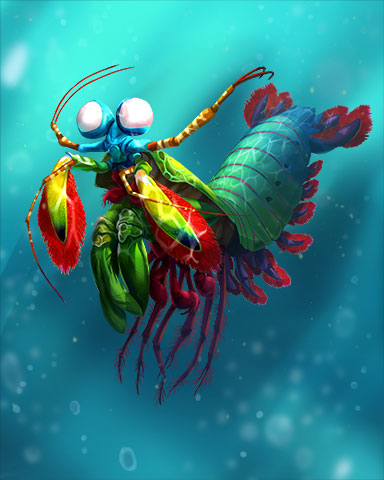 Peacock Mantis Shrimp Badge - Pogo Addiction Solitaire HD