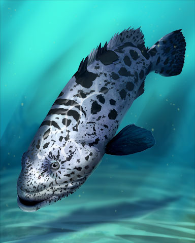 Potato Cod Fish Badge - Word Search Daily HD