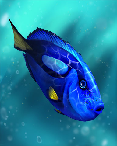 Surgeonfish Badge - Bookworm HD