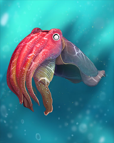 Cuttlefish Badge - Mahjong Safari HD